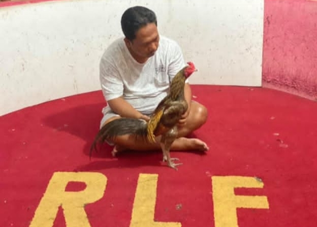 Wakil Ketua Komisi D Muhammad Idris, GEMAH Beberkan Dugaan Pemerasan Anggota DPRD DKI untuk Judi Sabung Ayam